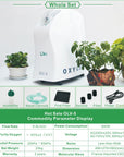 OLIVE OXYGEN CONCENTRATOR - MODEL OLV-5/10